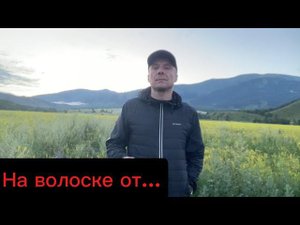 На волоске от…