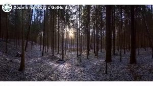 Охота в Тульской области – Охотничье хозяйство «Рудневское» охота на лося в Тульской области