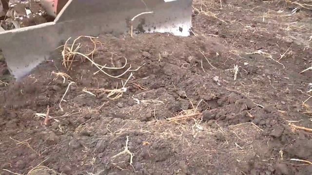 Борьба с акацией, ноу-хау пахота отвалом трактора ДТ 75 смотреть онлайн