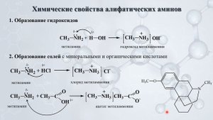 Азотсодержащие соединения: Амины