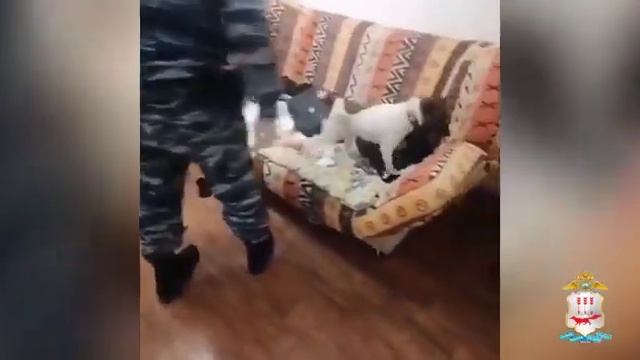 Житель Санкт-Петербурга задержан за попытку сбыта более 1 кг гашиша и мефедрона в Мордовии