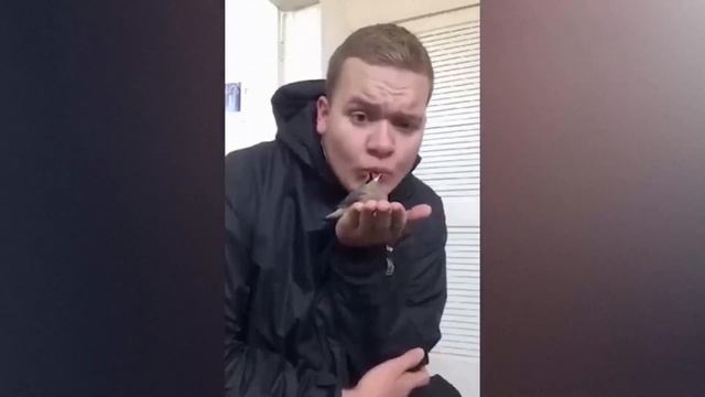 Полные Идиоты и Другие Смешные Моменты Снятые на Камеру. Лучшее за Неделю смотреть онлайн