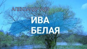 Александр Адэ Ива белая