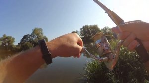 Фидерная рыбалка на малых реках. Река Нара или с чего все начиналось.