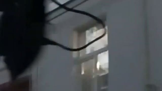 В Минске заблудилась пожилая женщина. Вернуться домой помогли милиционеры смотреть онлайн