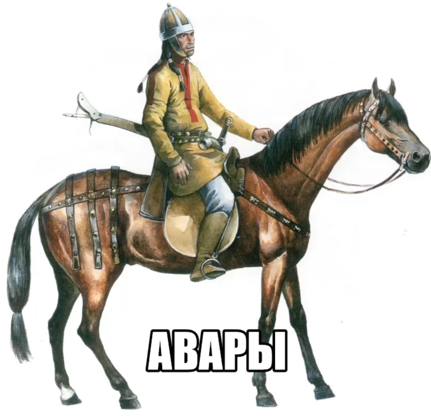 Авары это. Авары. Авар.