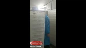 Отзыв птицевода об инкубаторах Стимул-Инк