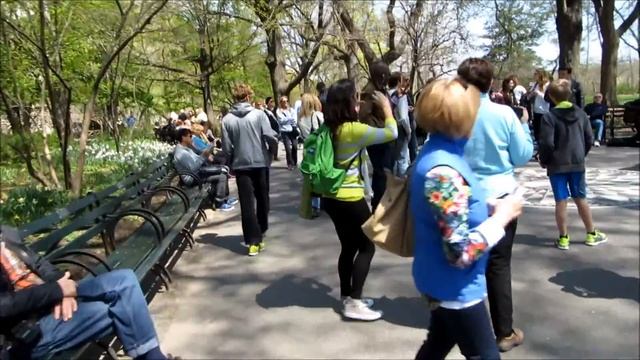 NYC-9. Нью-Йорк. Центральный парк