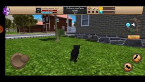Cat Simulator-Animal Life ВЗЛОМ МОНЕТ