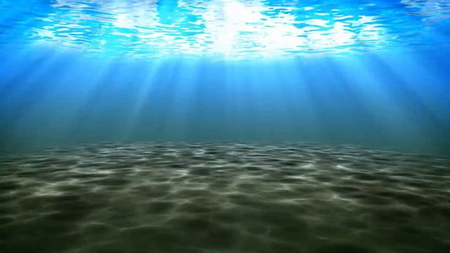 SEABED - FONDALE MARINO смотреть онлайн