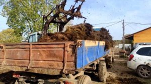 Сезонный бизнес на продаже навоза