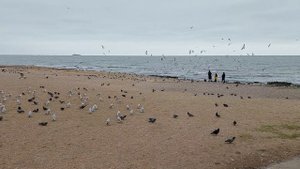 каспийское море