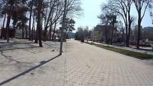#Анапа ? Пальмы // Каким был парк 30-летия Победы в 80-х годах ХХ века