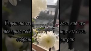 Фф Т/и и Тео " Полюби меня " 8 часть Конец