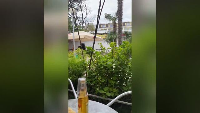 Лазаревское Сочи кафе пингвин чебуреки