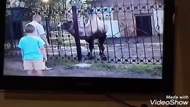 С Днем Рождения доченька