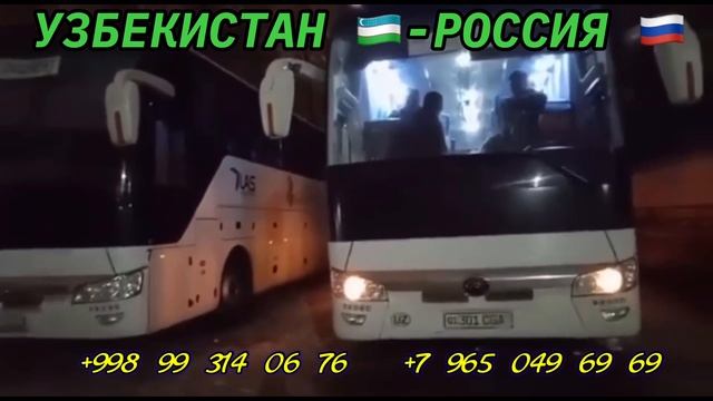 Ташкент Москва автобус Москва Ташкент Узбекистан Россия автобус