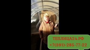Отзыв Теплицы Дачница ГАРАНТ Теплица24.рф