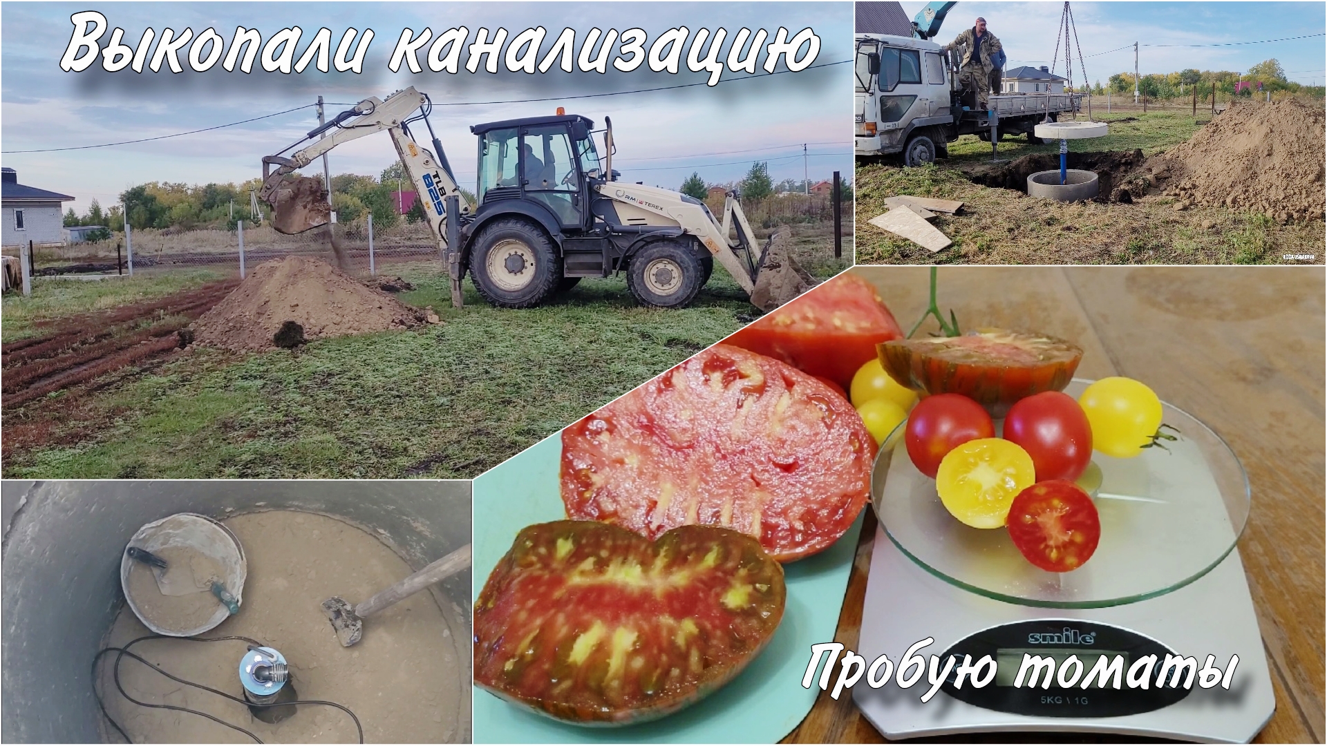 Выкопали канализацию / Пробую свои томаты #урожайныйогород #дегустациятоматов #томаты