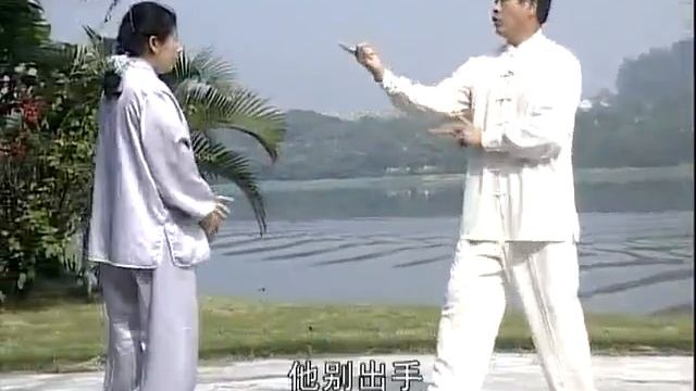 Тайцзицюань стиля Сунь. Применения 1 часть.