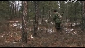 Охота на изюбря в Якутии. Охота на изюбря на реву . . 2018