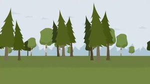 48. Футаж для фона. Анимированный фон. ЛЕС, деревья, скачать бесплатно. Футаж для создания видео.
