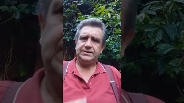 0.03 О причинах финансовых кризисов смотреть онлайн