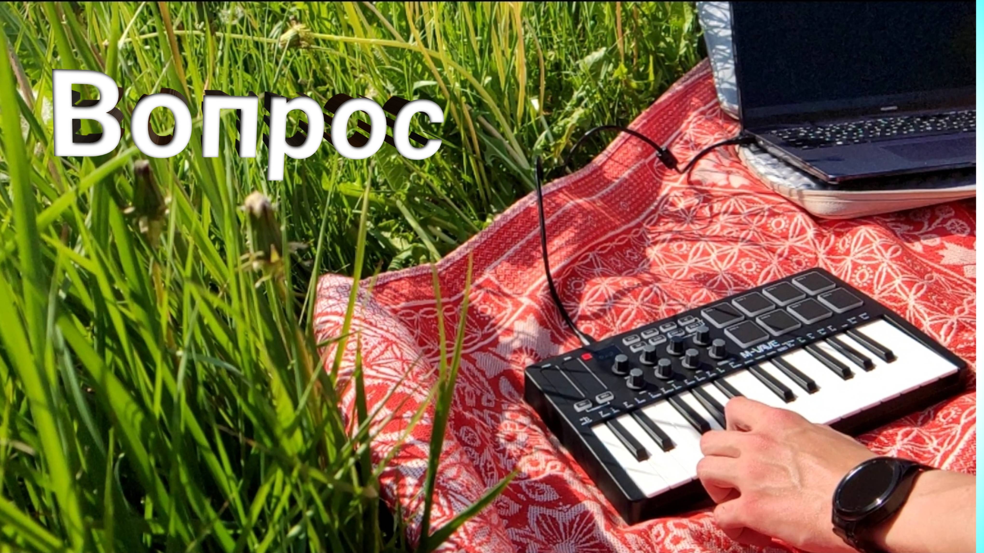 Вопрос - Кино(кавер от TheDuckMusic)