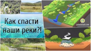 Как спасти наши реки?!