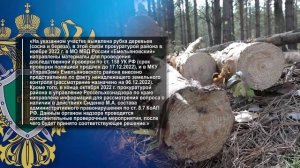 ПРЕДПРИНИМАТЕЛЬ ВЗЯЛ В АРЕНДУ УЧАСТОК ДЛЯ СЕЛЬХОЗНУЖД И ПИЛИТ ДЕРЕВЬЯ