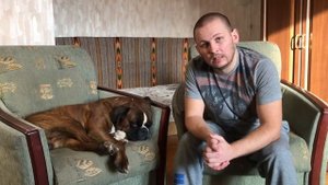 Неадекватное поведение собак