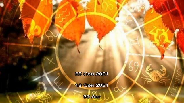 Обзор модных сумок осени-2018 смотреть онлайн