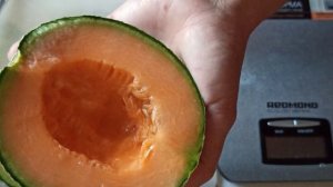 Дыня Канталупа с тепличной бахчи. Пробуем. Вкуснятина!