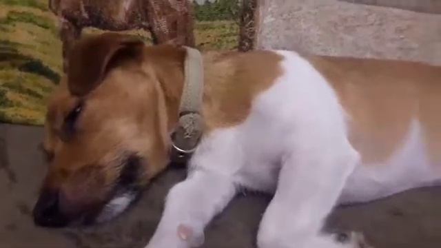 Моё первое видео-10 фактов обо мне)) смотреть онлайн