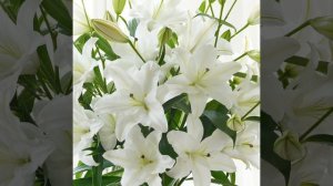 Я твой ❤король 👑, ты королева 👑)Сергей Одинцов.