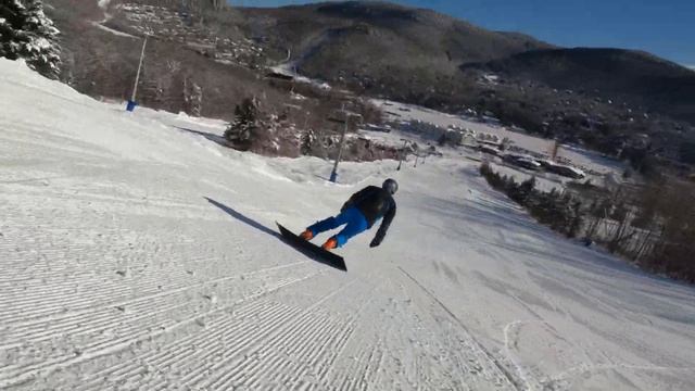 Stoneham fev 2022 - Réal смотреть онлайн