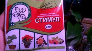 СТИМУЛ ДЛЯ ОРХИДЕЙ  _