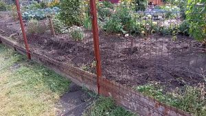 Будни в деревне. Хроника событий дня.