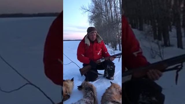 Охота на лис смотреть онлайн