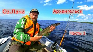 Озеро Лача. Архангельск. Попытки Поймать Рыбу Троллингом. Часть-1