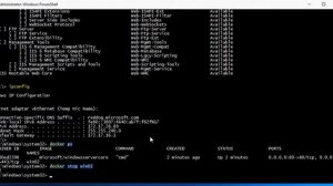 How To Create A Windows Container Image With IIS Using Docker