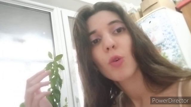 Моя коллекция помад. Часть 6