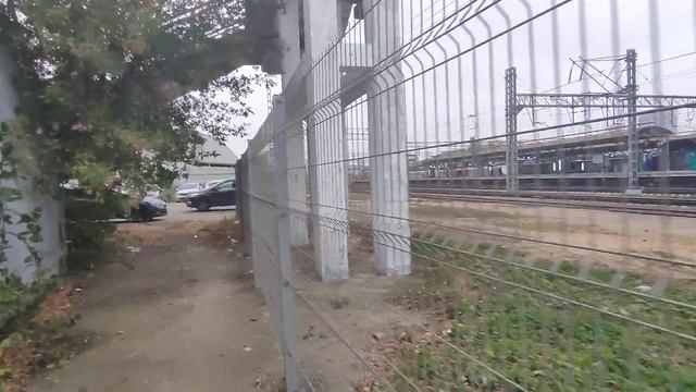 Поиски бомжей будут смотреть онлайн