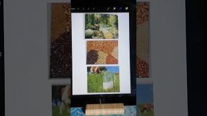 Сырье как предмет труда