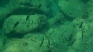 Phuket Surin Beach snorkeling Dec 2018