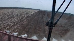 Уборка подсолнечника 2023 г