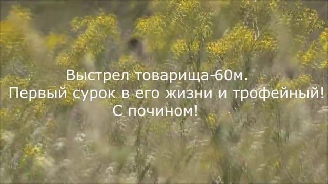 Охота на сурка байбака смотреть онлайн