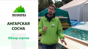 Сенсация!!! Вагонка штиль из ангарской сосны! Воочию все сорта!