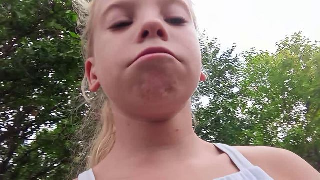 влог