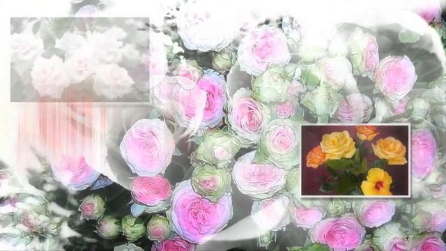 Цветы вам от чистого сердца..восточная музыка для халижи - мелодия смотреть онлайн